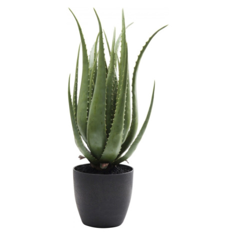 KARE Design Umělá rostlina Aloe 69cm