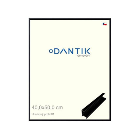 DANTIK rámeček 40 × 50, ALU profil 7001 Černý matný plexi čiré