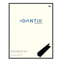 DANTIK rámeček 40 × 50, ALU profil 7001 Černý matný plexi čiré