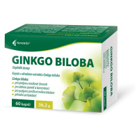 Noventis Ginkgo Biloba 40 mg 60 kapslí