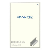 DANTIK rámeček 20 × 30, ALU profil 6030 Dýha barevný šedý světlý sklo čiré