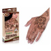 Tytoo henna ornamental