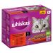 Whiskas 1+ Adult Multipack kapsičky 12 x 85 g / 100 g - klasický výběr v omáčce (12 x 85 g)