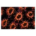 Fotografie Underwater image take coral polyps, Beth Watson, 40 × 26.7 cm