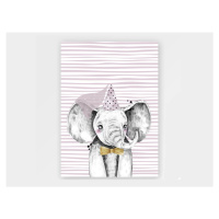 Česká výroba Plakát Slon rozměr: 50 x 70 cm, varianty: Slon šedý s růžovou čepicí