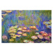 Obrazová reprodukce Water Lilies, Claude Monet, 40 × 26.7 cm