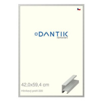 DANTIK rámeček 42 × 59,4, ALU profil 6220 Stříbrný matný plexi čiré