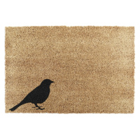 Rohožka z přírodního kokosového vlákna Artsy Doormats Bird, 40 x 60 cm