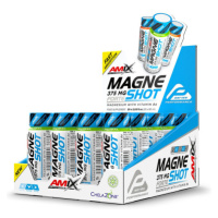 Amix Performance MagneShot Forte 375 mg 20 x 60 ml neutral