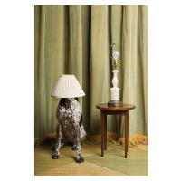 Fotografie Dog with a lampshade on its head, Image Source, (26.7 x 40 cm)