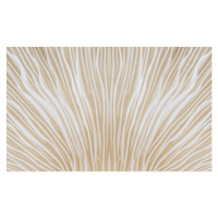 Fotografie background macro image of Sajor-caju Mushroom, lamyai, (40 x 24.6 cm)