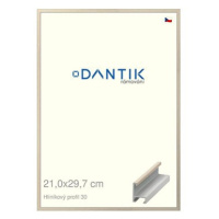 DANTIK rámeček 21 × 29,7, ALU profil 6030 Dýha slovnový kost sklo čiré