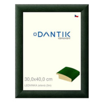 DANTIK rámeček 30 × 40, LEDVINKA zelený plexi čiré