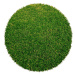 Betap koberce Umělá tráva Botanic kruh - 400x400 (průměr) kruh cm