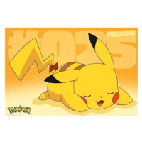 Pokémon Pikachu Asleep