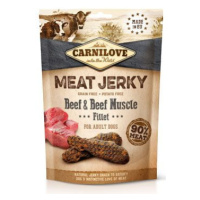 Carnilove Dog Jerky beef with beef muscle fillet 100g