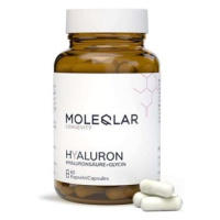 MOLEQLAR® Hyaluron, 60 kapslí