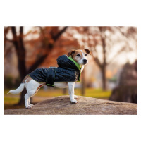 Vsepropejska Coldy bunda pro psa s kapucí Barva: Černo-zelená, Délka zad (cm): 28, Obvod hrudník