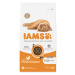 IAMS Cat Kitten Chicken 2kg