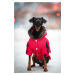 Vsepropejska Ronys zimní bunda pro psa Barva: Modrá, Délka zad (cm): 39, Obvod hrudníku: 48 - 52