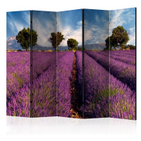 Paraván Lavender field in Provence, France Dekorhome 225x172 cm (5-dílný),Paraván Lavender field