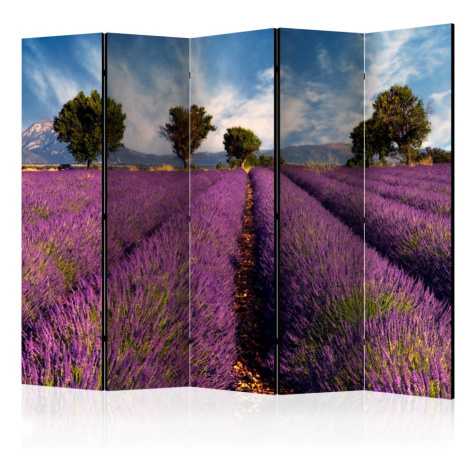 Paraván Lavender field in Provence, France Dekorhome 225x172 cm (5-dílný),Paraván Lavender field Artgeist