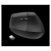 Logitech Wireless Mouse Lift for Business, graphite / black