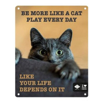 EBI D&D I love happy cats Kovová tabulka: ,,Be more like a cat play every day