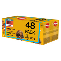 Pedigree Senior smíšený výběr kapsiček v želé 48 × 100 g