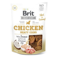 Brit Jerky Chicken with Insect Meaty Coins 80 g