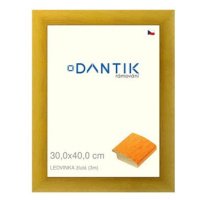 DANTIK rámeček 30 × 40, LEDVINKA žlutý plexi čiré