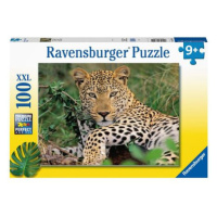 Ravensburger Leopard Puzzle 100 dílků