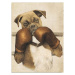 Nástěnný obraz na plátně Boxer, 30 x 40 cm
