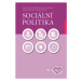 Sociální politika - Alena Hricová, David Urban, Lucie Kozlová, Stanislav Ondrášek