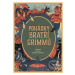 Pohádky bratří Grimmů - Wilhelm Grimm, Jacob Grimm, Kateřina Boudriot-Bažantová (Ilustrátor) - k