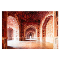 Fotografie Taj Mahal Mosque India, ferrantraite, 40 × 26.7 cm