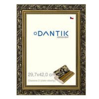 DANTIK rámeček 29,7 × 42, Claico 2 zlato ořechy plexi čiré