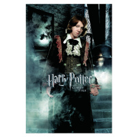 Umělecký tisk Harry Potter and the Goblet of Fire - Ron, 26.7 × 40 cm