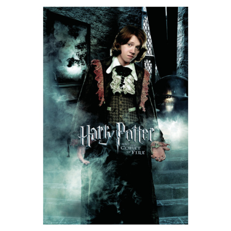 Umělecký tisk Harry Potter and the Goblet of Fire - Ron, 26.7x40 cm