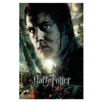 Umělecký tisk Harry Potter - Neville Longbottom, 26.7 × 40 cm