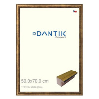 DANTIK rámeček 50 × 70, TRITON zlatý plexi čiré