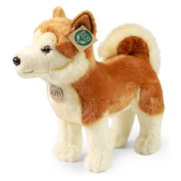 RAPPA - Plyšový pes Akita Inu 30 cm ECO-FRIENDLY