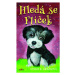 Hledá se Flíček - Otilie K. Grezlová