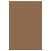 Koňakově hnědý koberec 120x170 cm – Flair Rugs