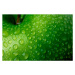 Fotografie Green Apple Detail, omersukrugoksu, 40 × 26.7 cm