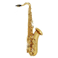 Buffet Crampon 100 Series Tenor