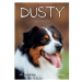 Dusty 6: Dusty je najlepší! Fragment