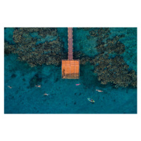 Fotografie coral escape, Ido Meirovich, 40 × 26.7 cm