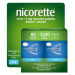 Nicorette Mint 4 mg 2x40 lisovaných pastilek