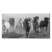 Obraz na plátně Carys Jones - Dusty Plains, (100 x 50 cm)